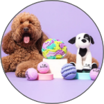 Pet Toys
